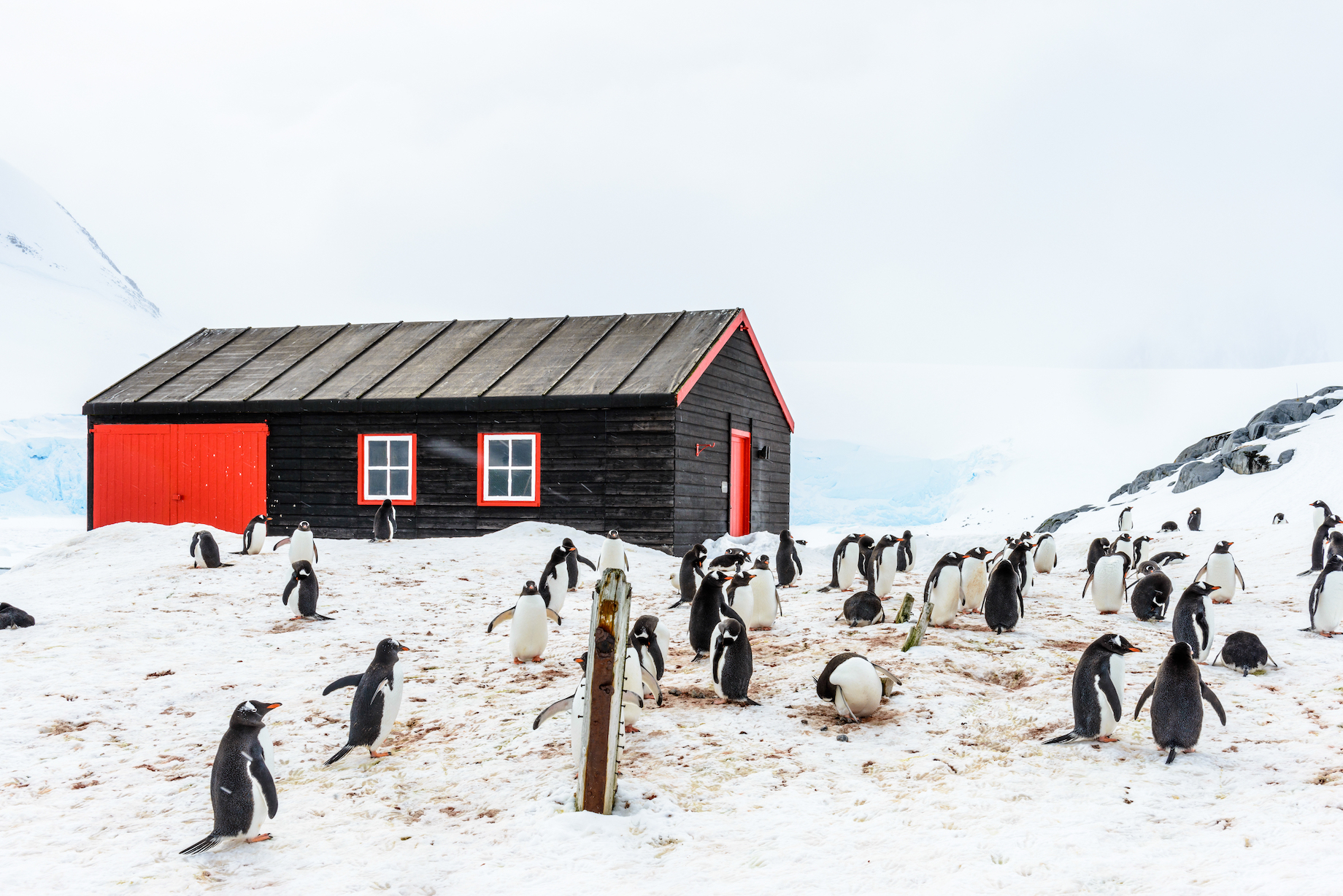 Postcard from the Penguin Post Office | Ends Of The Earth